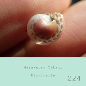 Marginalia #224 by Masakatsu Takagi