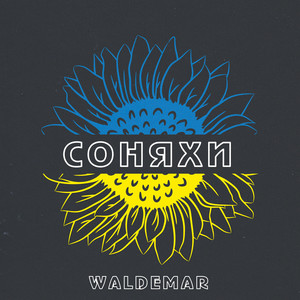 Соняхи