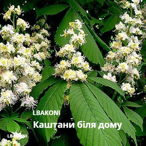 LBAKONI — Каштани Біля Дому