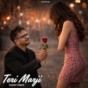 Teri Marji by Pulkit kauts