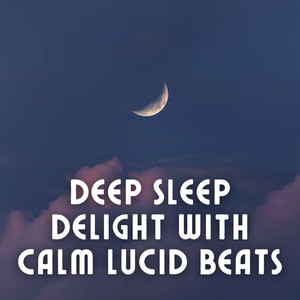 Deep Sleep Delight with Calm Lucid Beats album