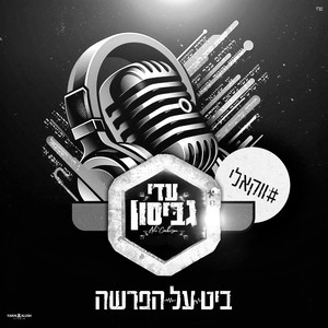 להתחבר לתדר (פרשת פנחס) - ווקאלי by עדי גביסון