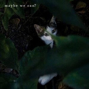 maybe we can?