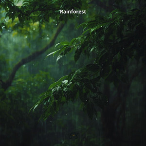 Rainforest