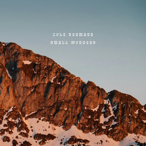 Small Wonders by Cole Neumann