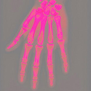 Portada de fade