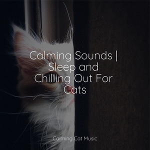 Calming Sounds | Sleep and Chilling Out For Cats album