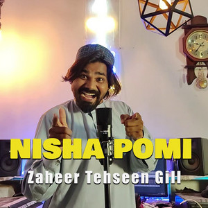 Zaheer Tehseen Gill - Nisha Pomi (Remix)