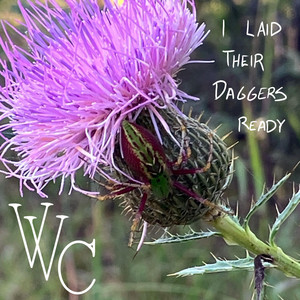 I Laid Their Daggers Ready by VViley Coyote