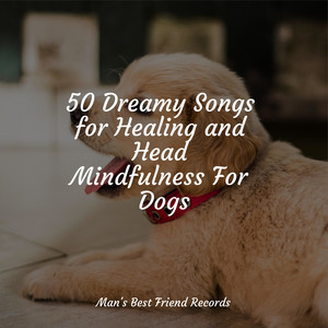 50 Dreamy Songs for Healing and Head Mindfulness For Dogs album