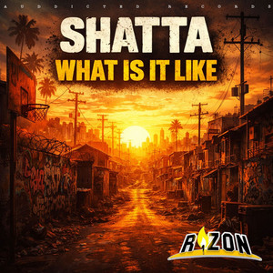 What Is It Like by Shatta, R1ZON