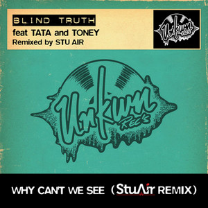Why Can't We See (Stu Air Remix)