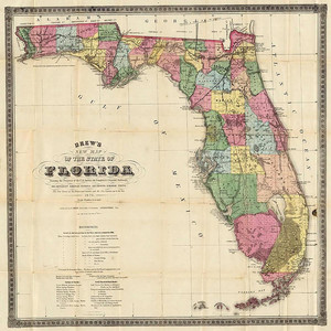 I'm Florida by Gator Nate