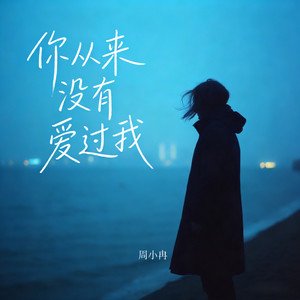 周小冉 - 你从来没有爱过我