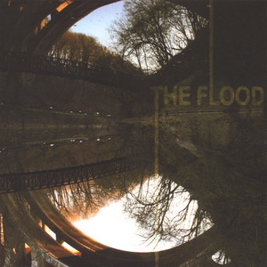 Life's Strange by The Flood