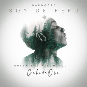 Soy de Peru by GabodeOro