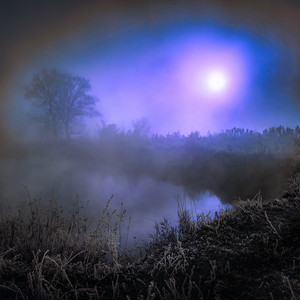 Can’t Let Go by Osckar Guld