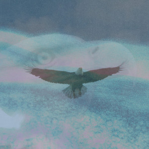 Eagle Eye by Daniel Stark