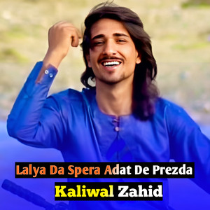 Kaliwal Zahid - Lalya Da Spera Adat De Prezda