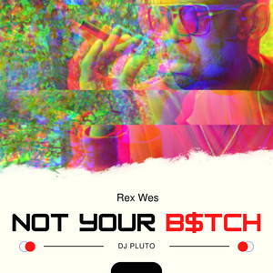 NOT YOUR B$TCH — official album artwork