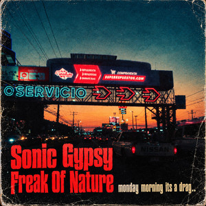 Freak Of Nature by Sonic Gypsy