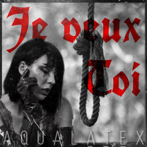 Обкладинка: Je veux Toi