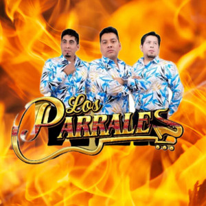 ESTA NOCHE ME EMBORRACHO.DR by LOS PARRALES DE CHORUNGA