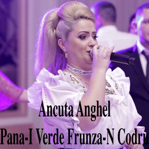 Pana-I Verde Frunza-N Codru-