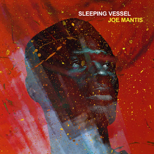 Sleeping Vessel by Joe Mantis