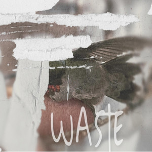 Waste