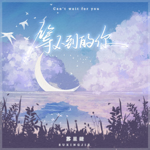 等不到的你 - 释怀版 by 苏星婕