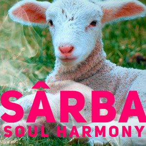 Soul Harmony - Sarba