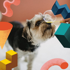Delightful Music for Dreamy Pups - Trumpet Solo album