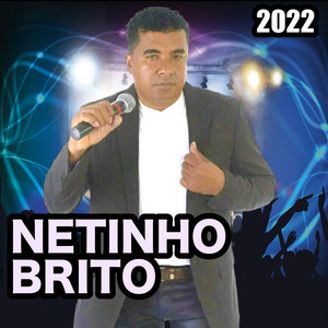 netinho brito - É Tarde Demais