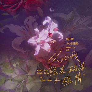 杨不乖 - 从此我碰花碰草不碰情 (DJ小行版)