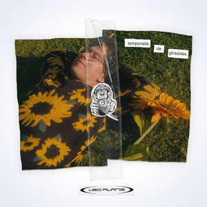 Temporada de Girasoles by Leo Alanis