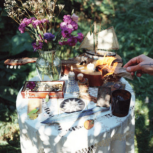Flowers In The Garden by Hollow Hand