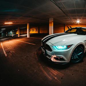 Dih - Mustang