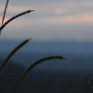 Life Goes On by so.tired, itsok.