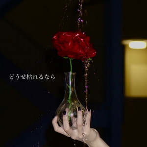 Second Backer - Dousekarerunara