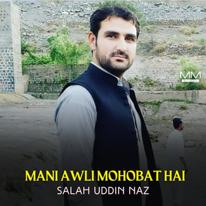 Salah Uddin Naz - Mani Darda Na Mari