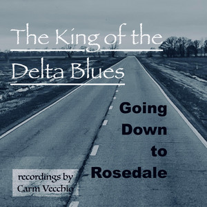 King of the Delta Blues by Carm Vecchio