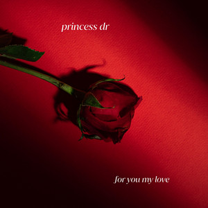 for you my love by princess dr