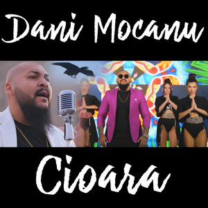 Dani Mocanu - Cioara