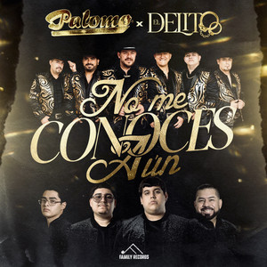 No Me Conoces Aún
