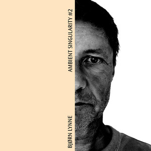 Ambient Singularity #2