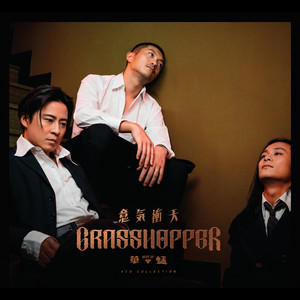 Grasshopper | Spotify