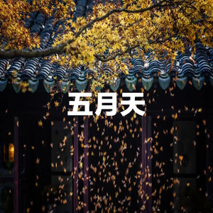玫瑰少年