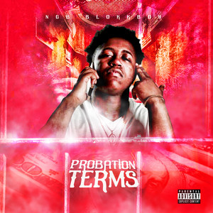 Probation Terms