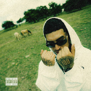 Envejecerás conmigo by MajesticB, MNZR, LP Ent